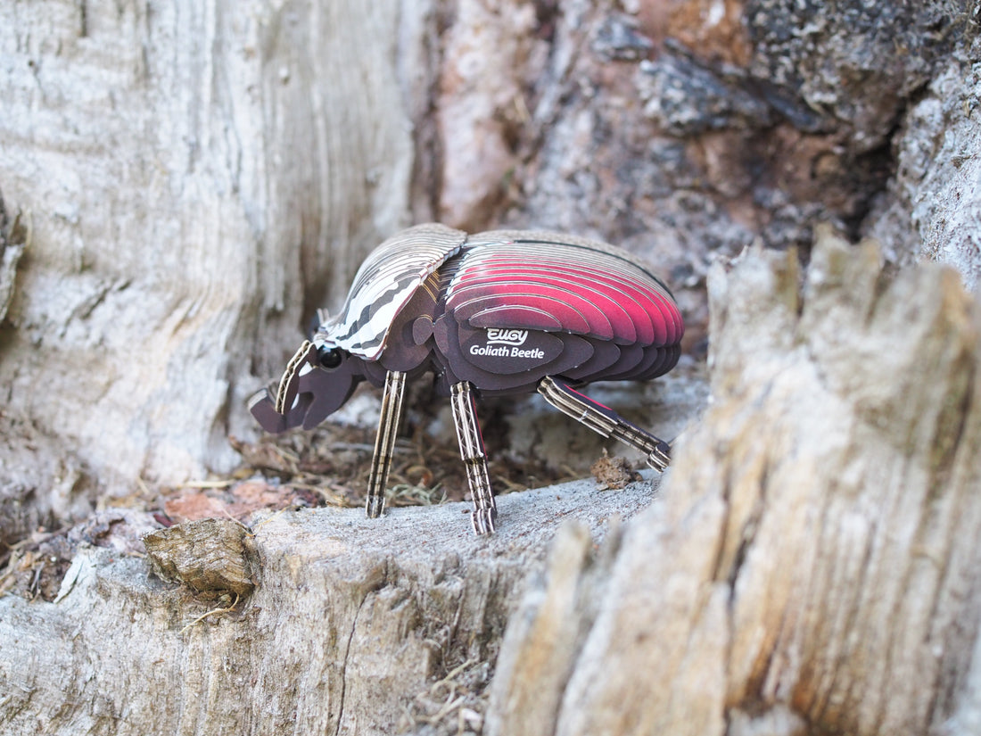 Meet the Beetle Guardians: Superheroes of the Natural World