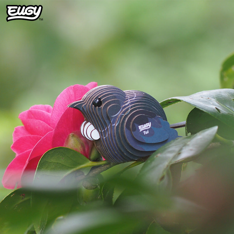 003 Tui (Tūī)