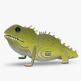004 Tuatara
