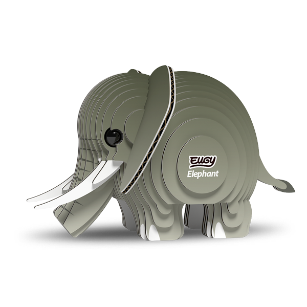 010 Elephant