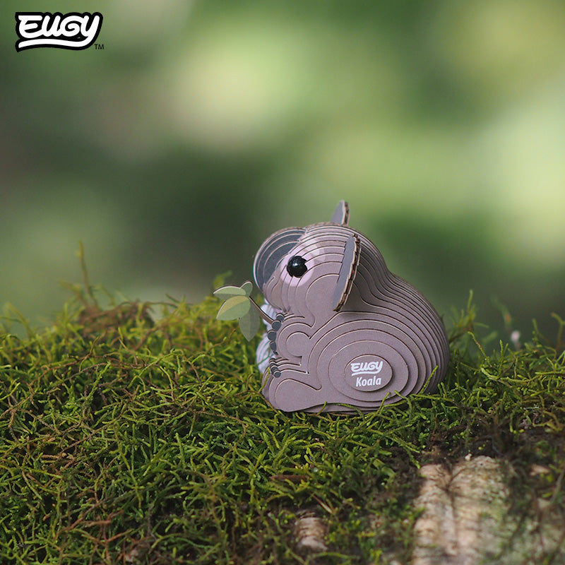 016 Koala