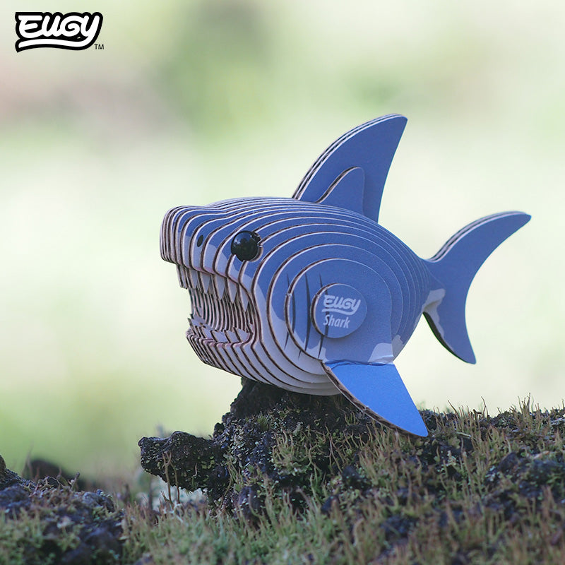 019 Shark