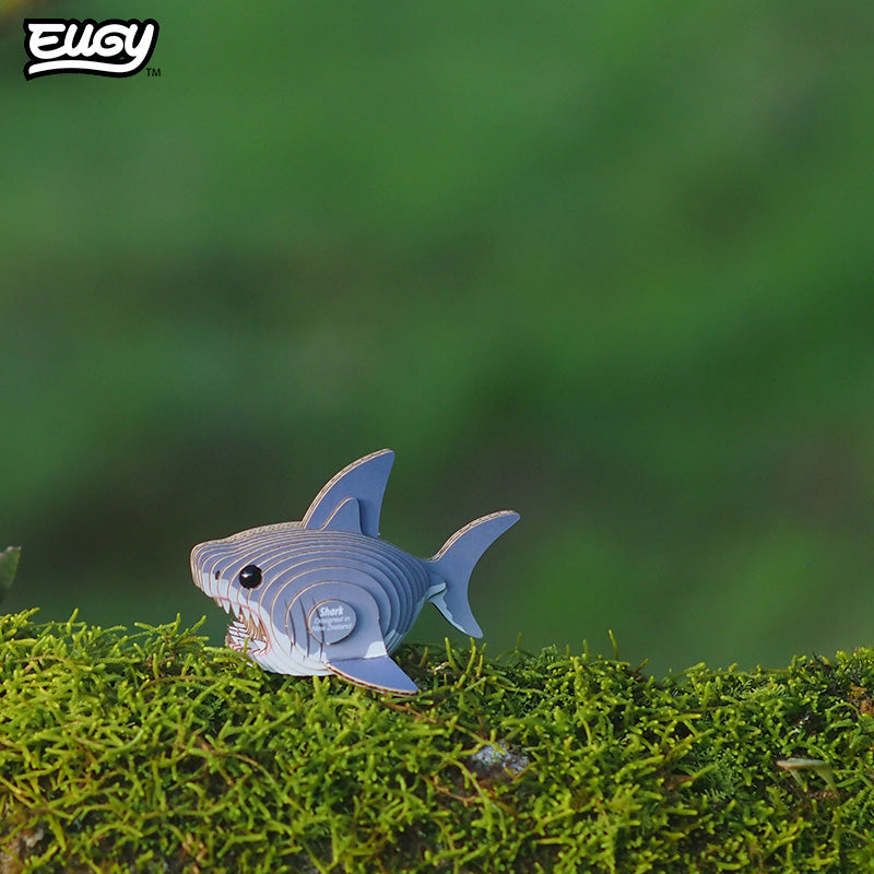 019 Shark