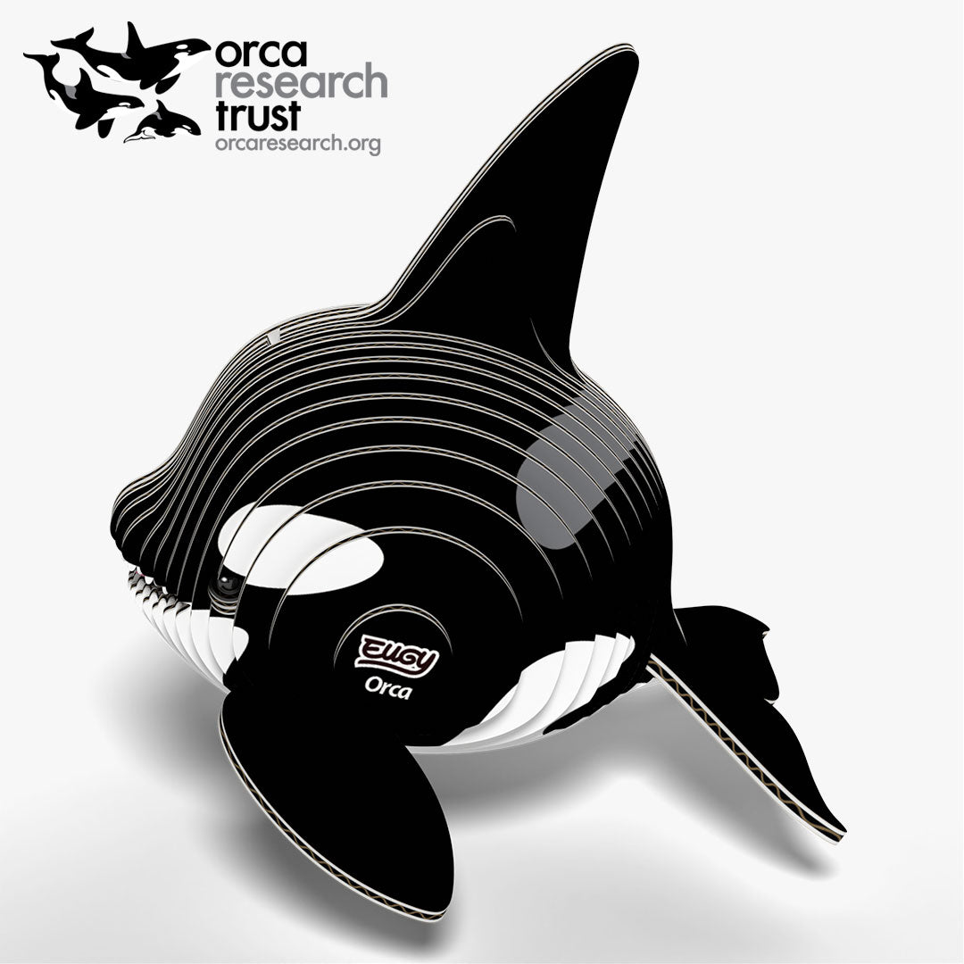 020 Orca