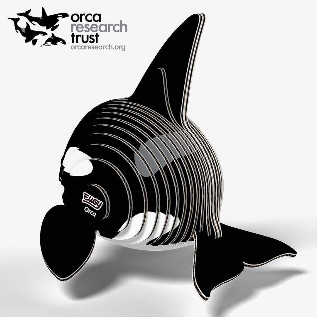 020 Orca