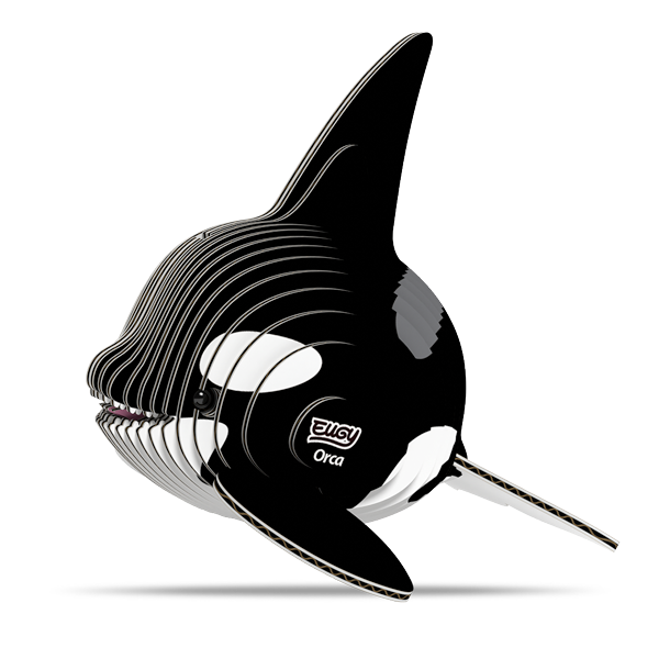 020 Orca