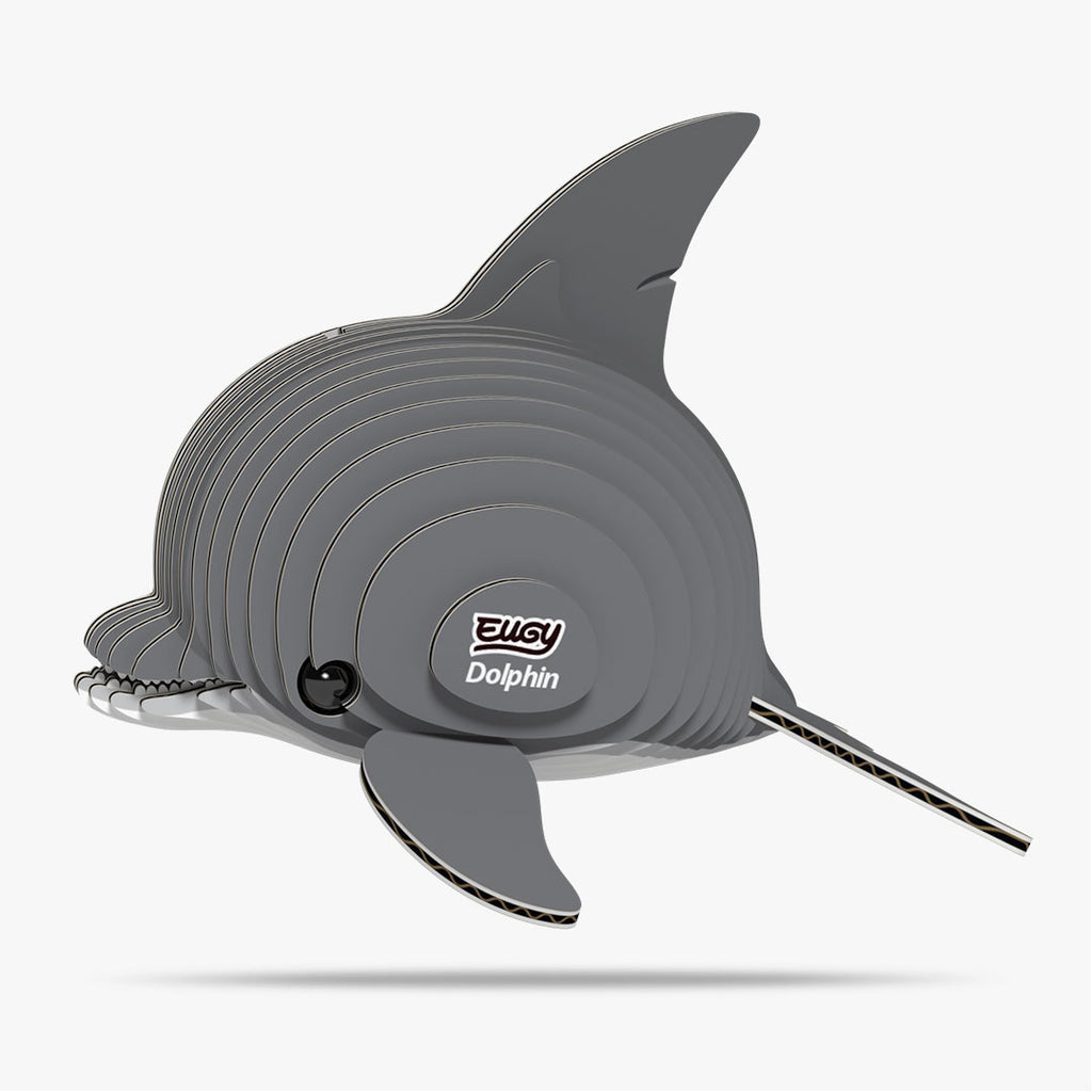 021 Dolphin