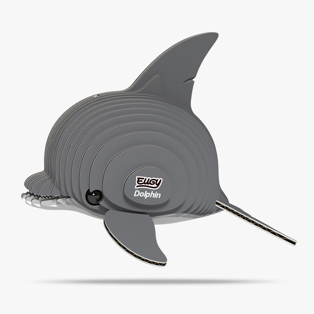 021 Dolphin