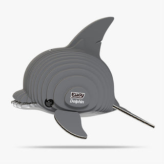 021 Dolphin