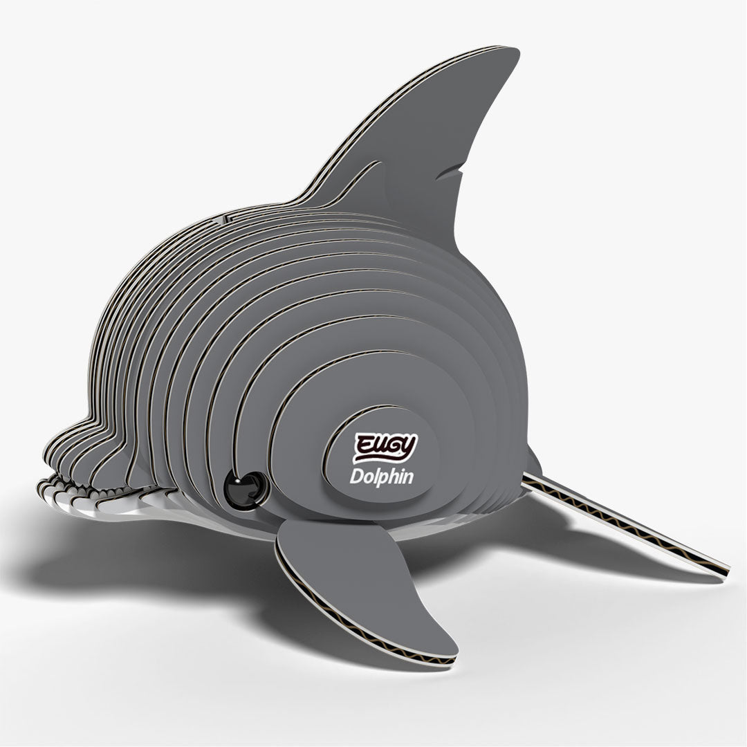 021 Dolphin