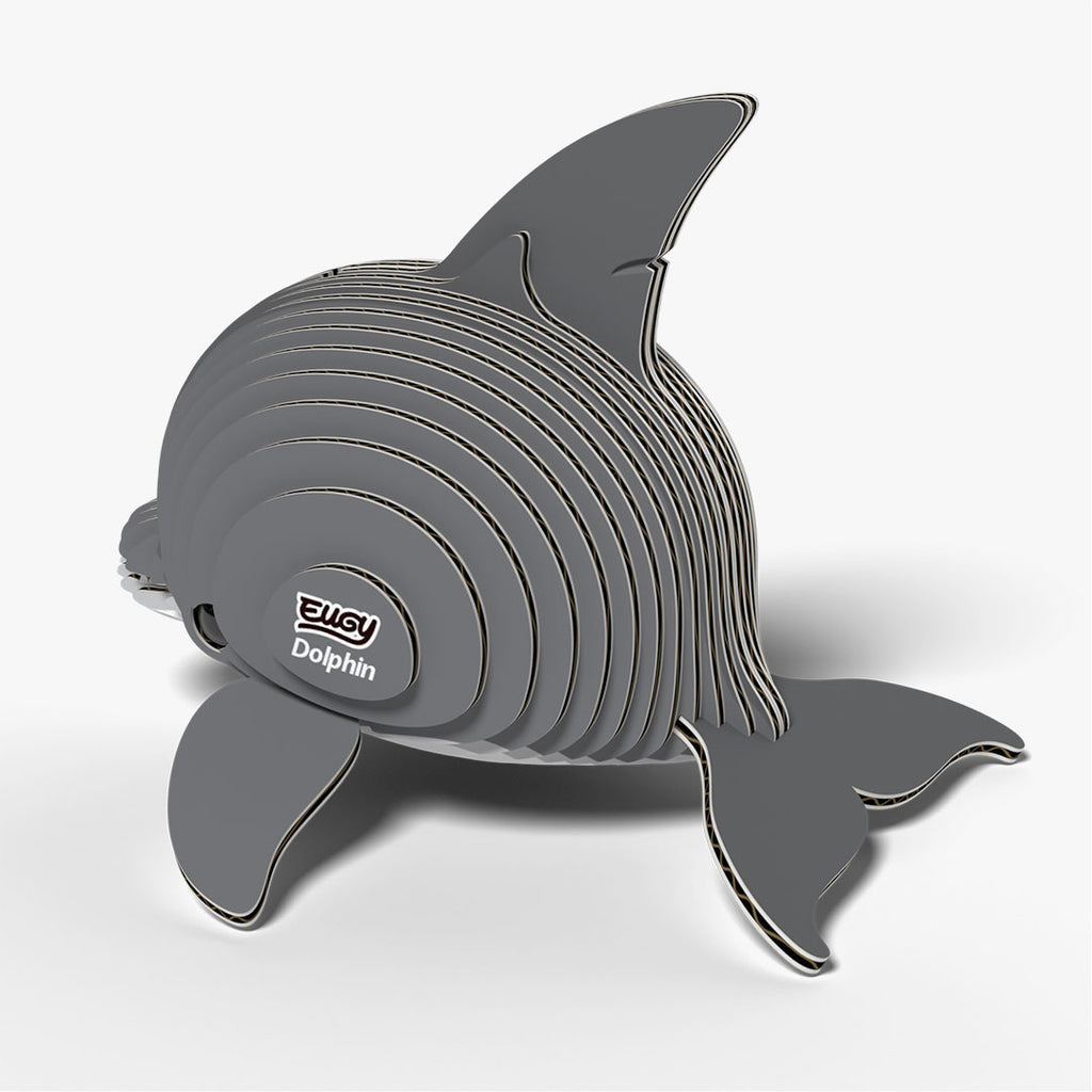021 Dolphin