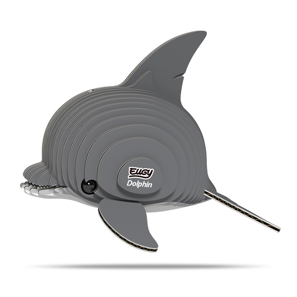 021 Dolphin
