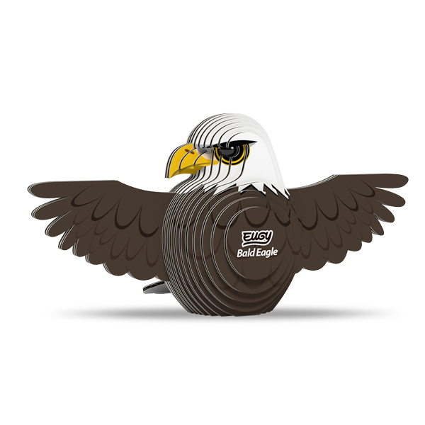 022 Bald Eagle