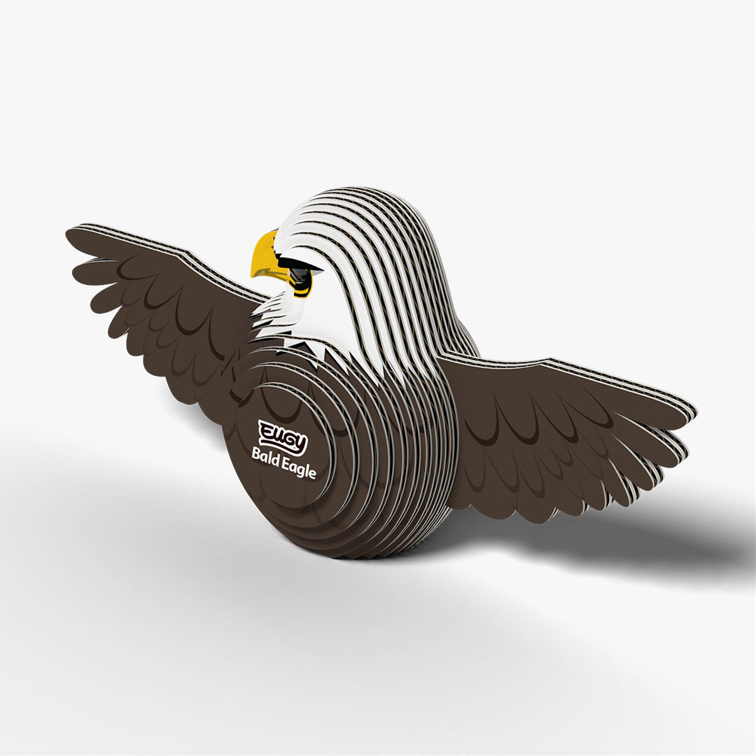 022 Bald Eagle