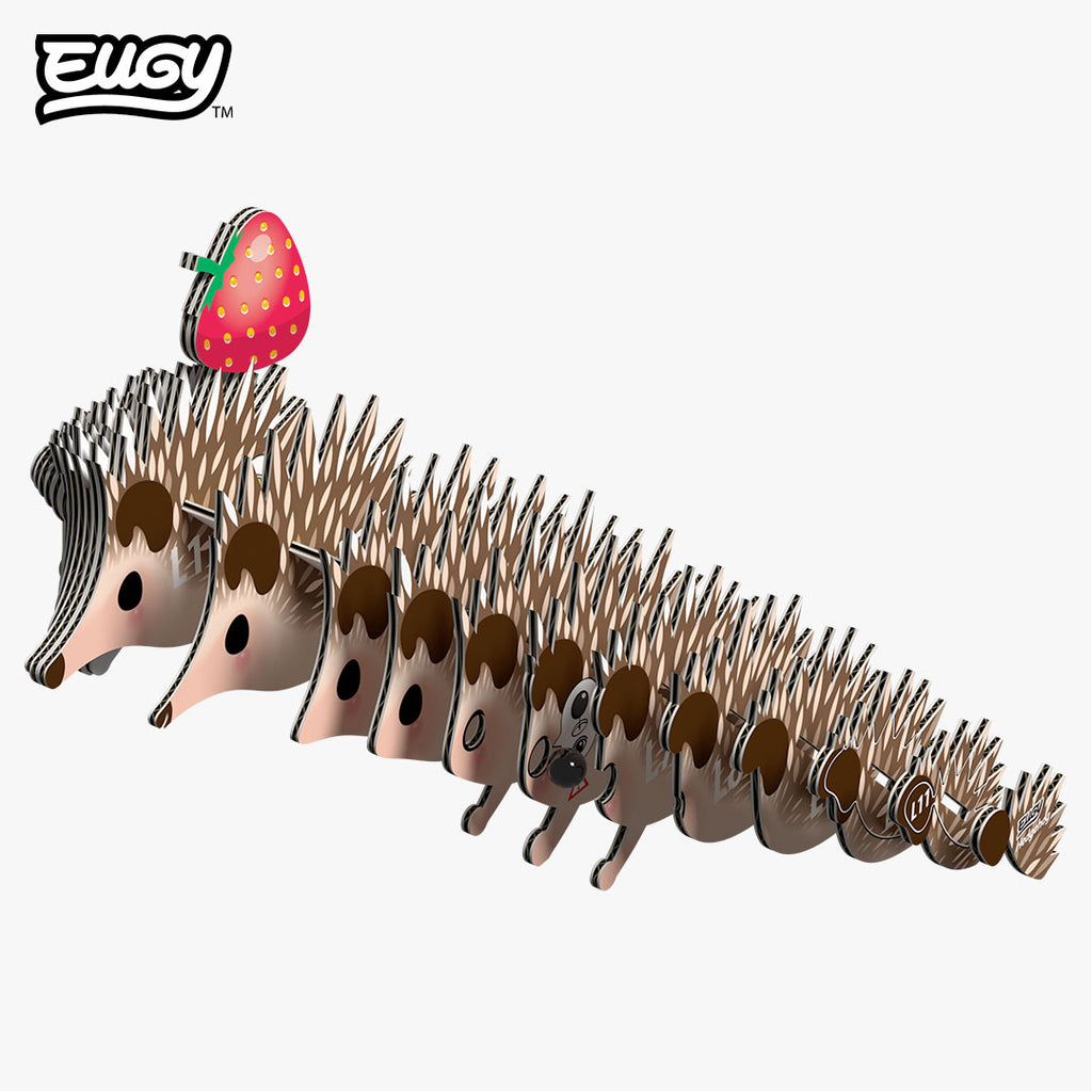 026 Hedgehog
