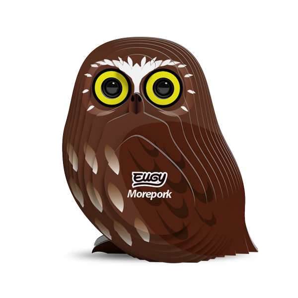 036 Morepork