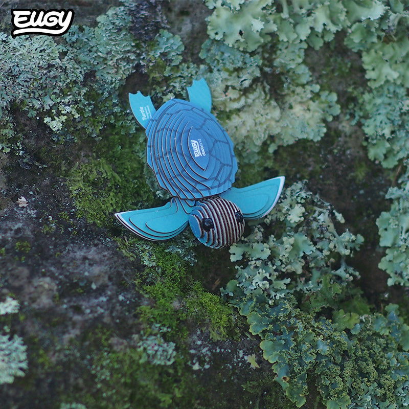038 Turtle