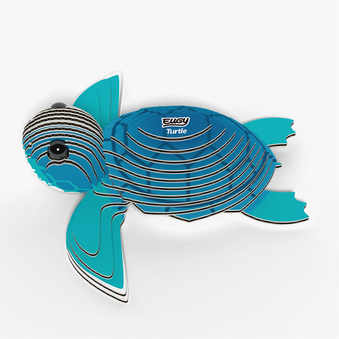 038 Turtle