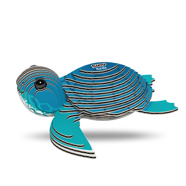 038 Turtle