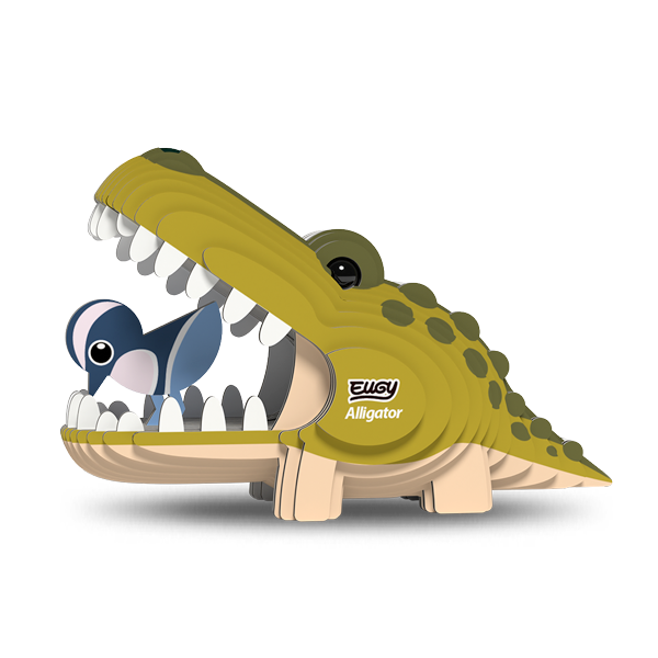 043 Alligator
