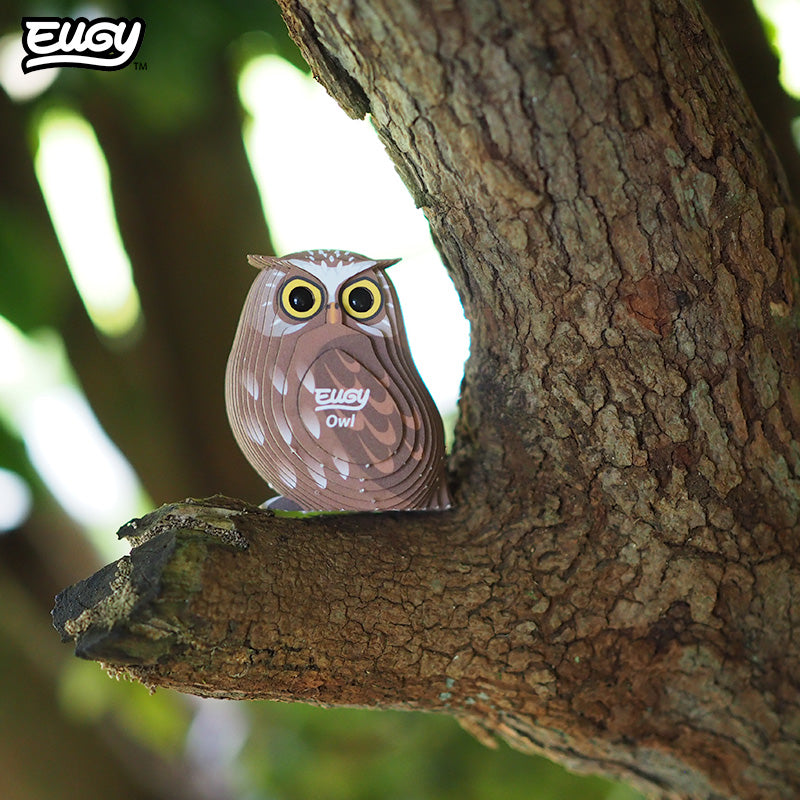 044 Owl
