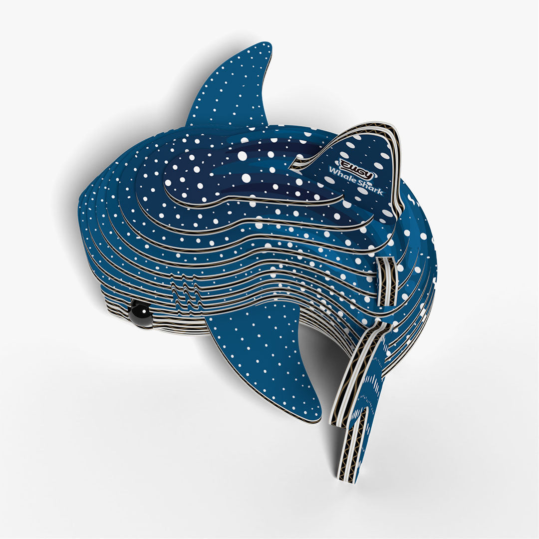 049 Whale Shark