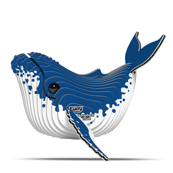 051 Humpback Whale