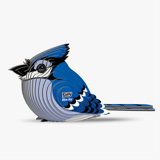 067 Blue Jay