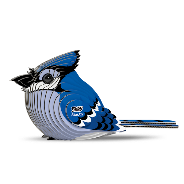 067 Blue Jay