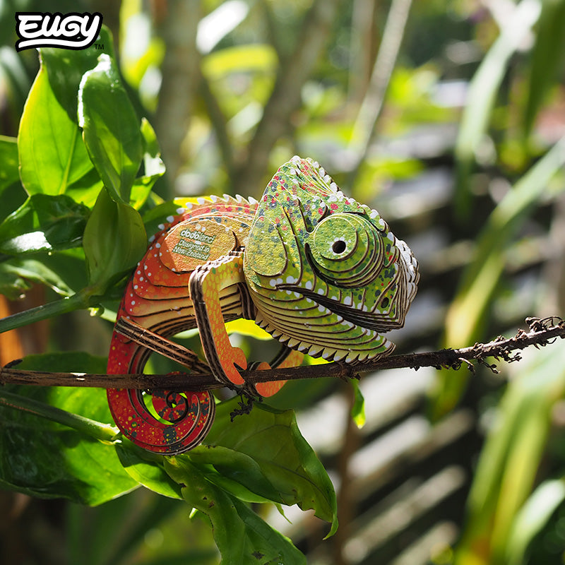 075 Chameleon