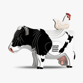 079 Holstein Fresian
