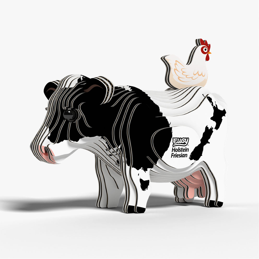 079 Holstein Fresian