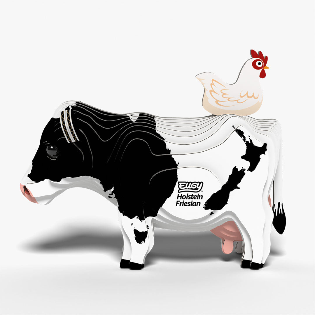 079 Holstein Fresian