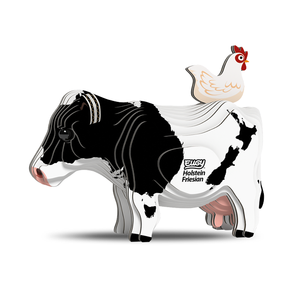 079 Holstein Fresian