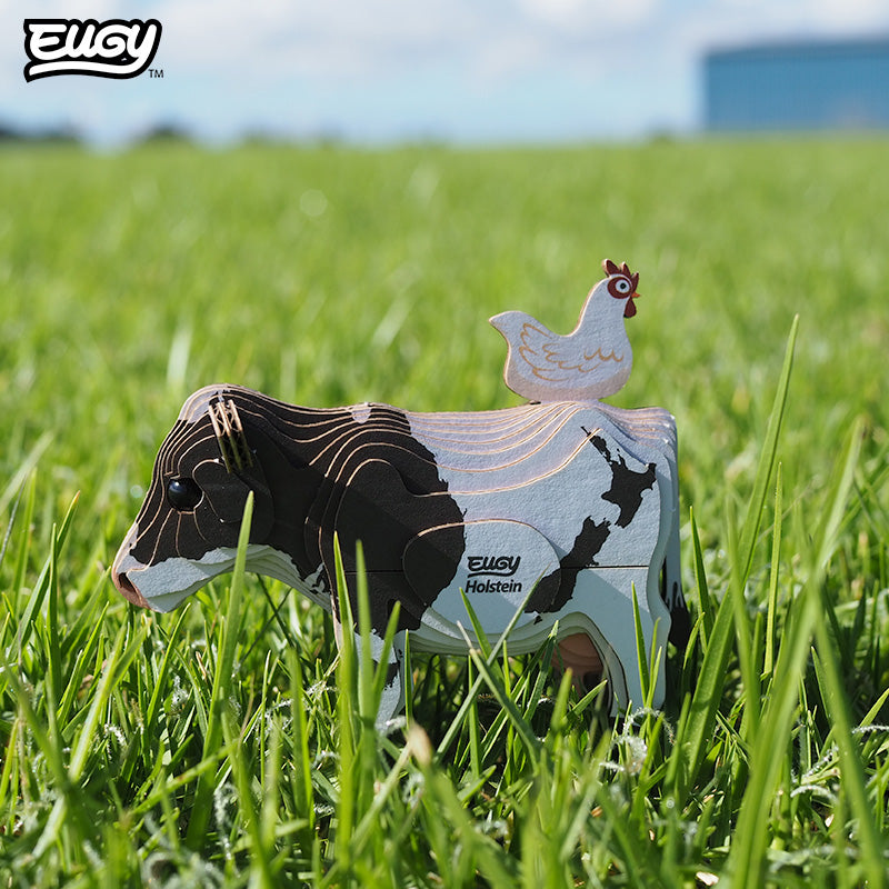 079 Holstein Fresian