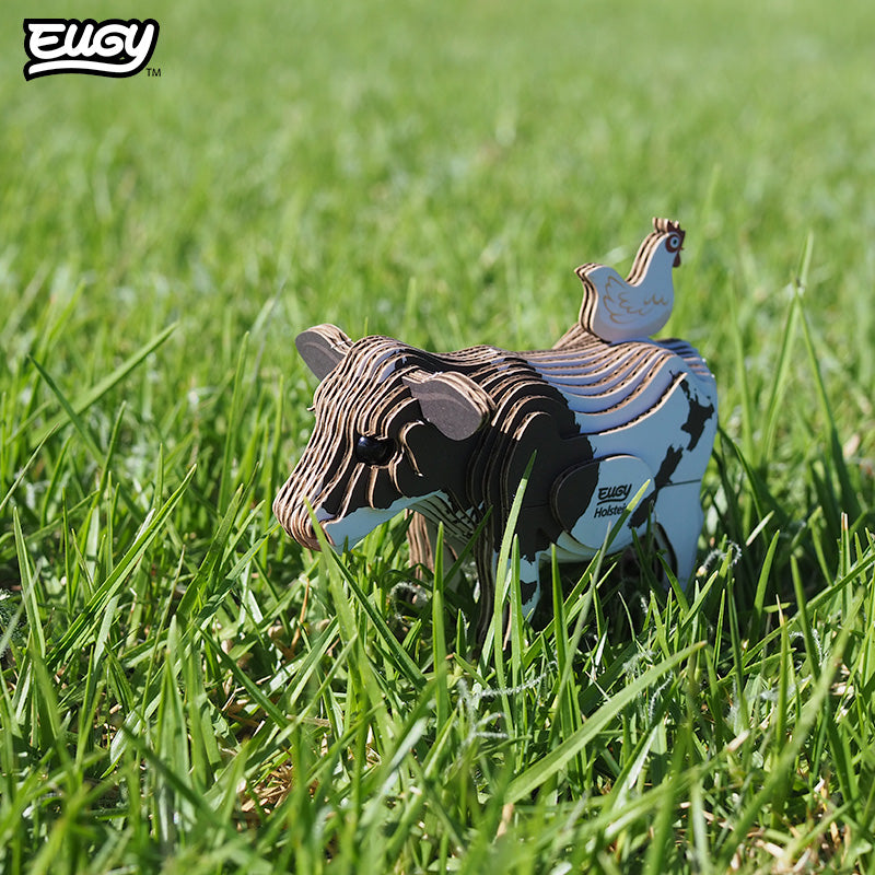 079 Holstein Fresian