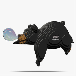 081 Black Bear
