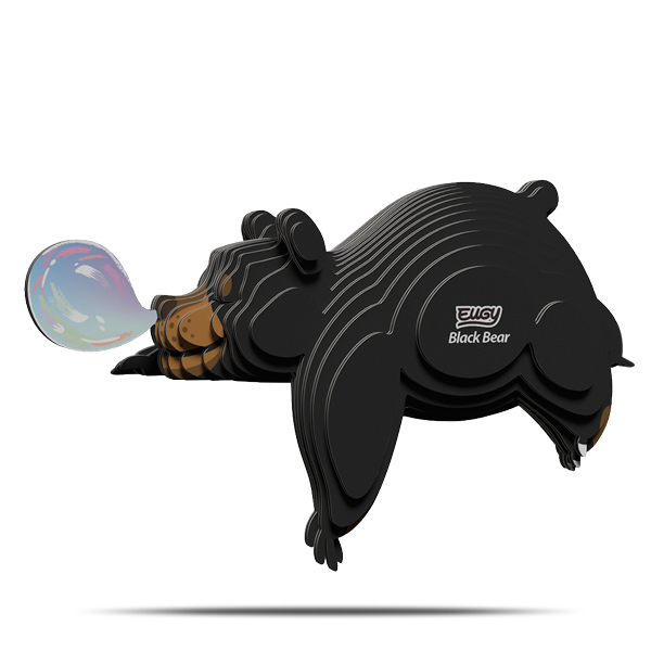 081 Black Bear