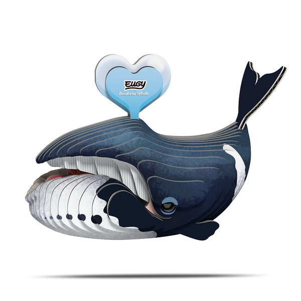 084 Bowhead Whale