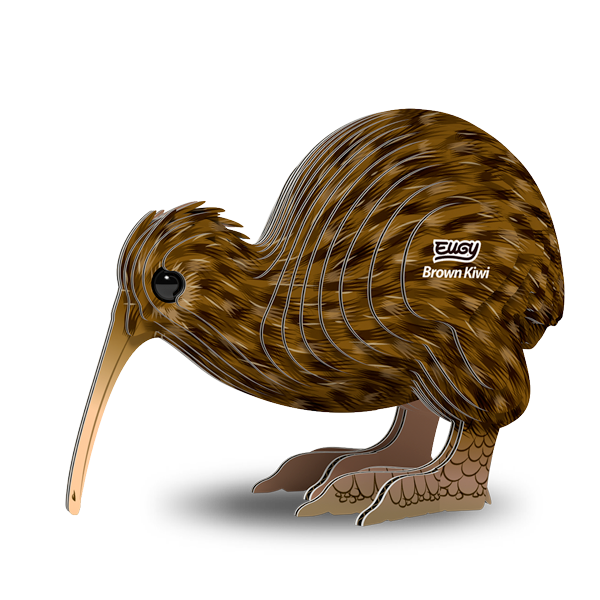 091 Brown Kiwi