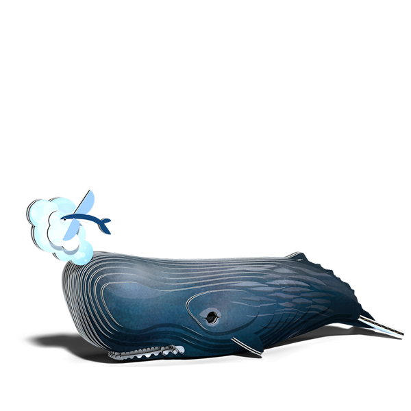 092 Sperm Whale