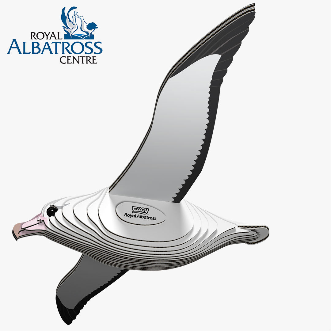 097 Royal Albatross