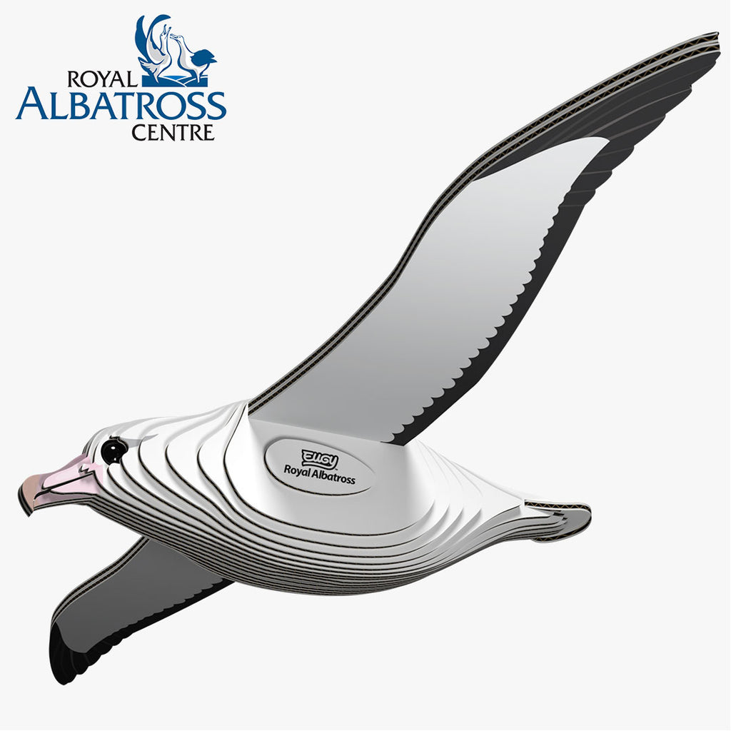 097 Royal Albatross