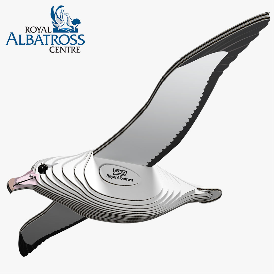 097 Royal Albatross