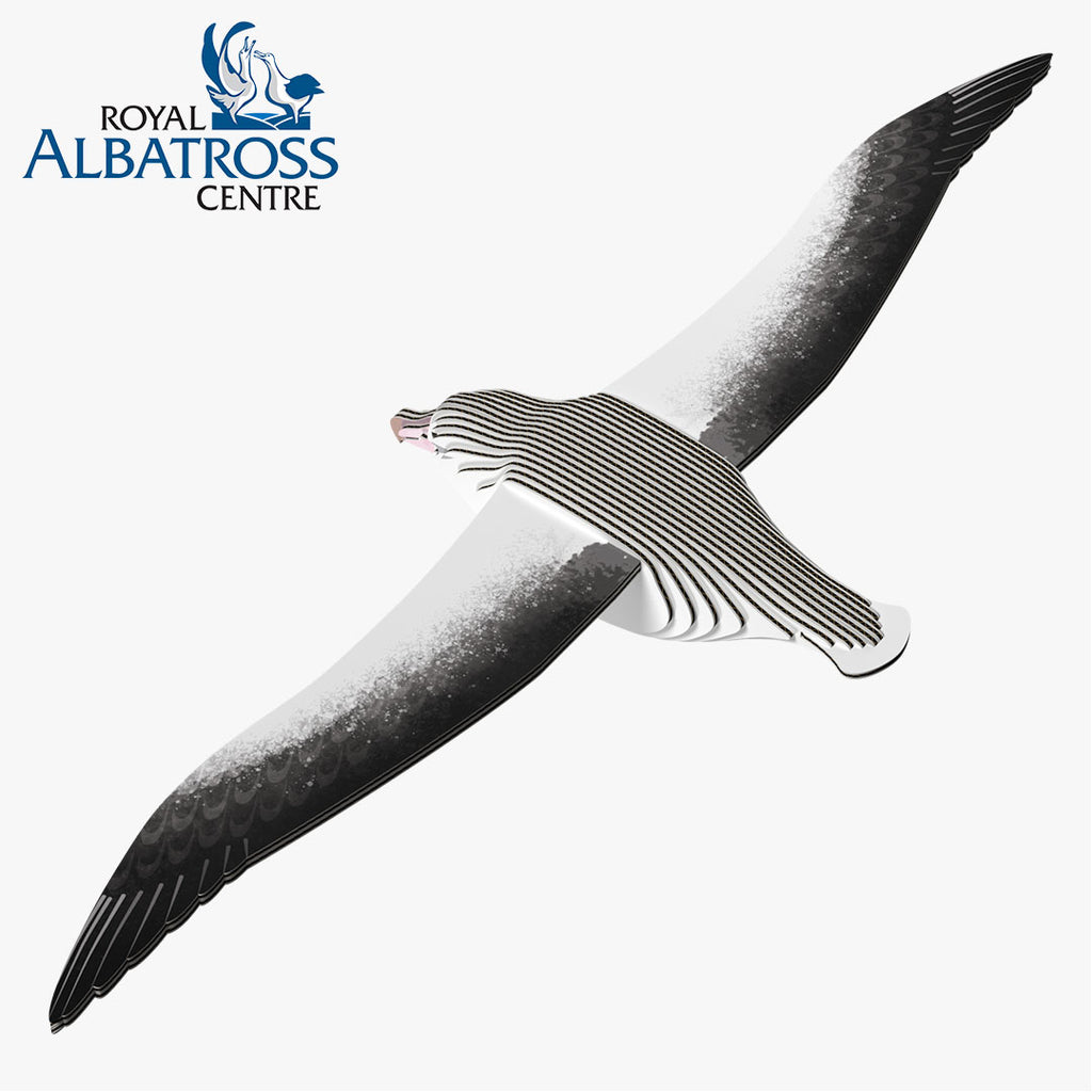 097 Royal Albatross