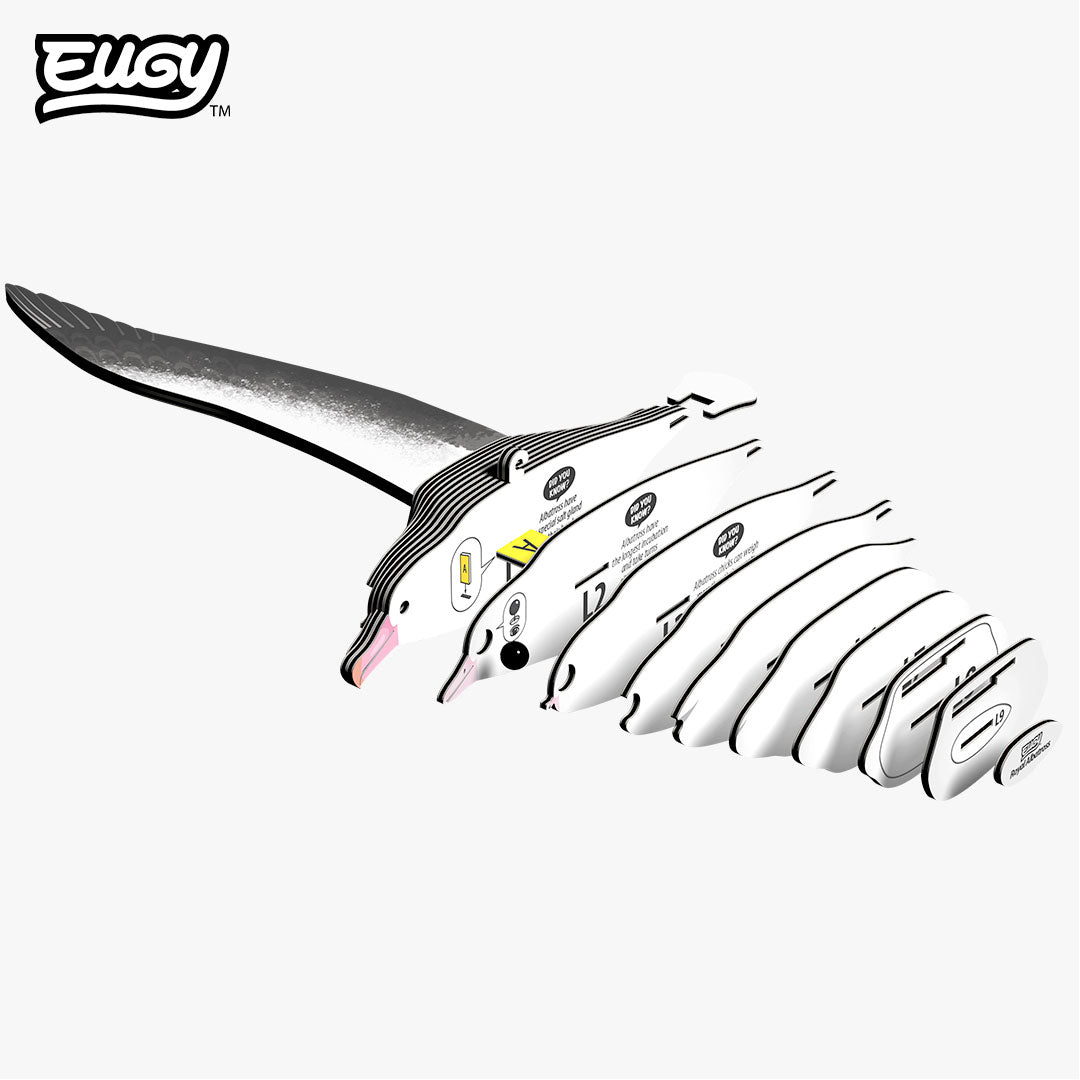 097 Royal Albatross