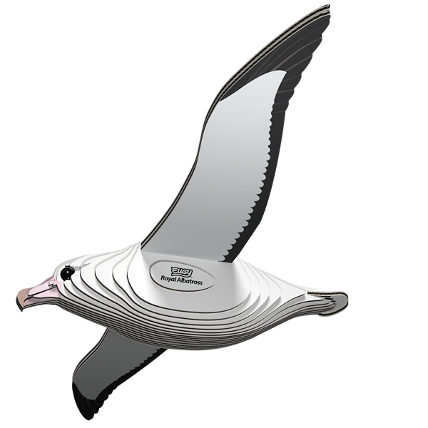 097 Royal Albatross