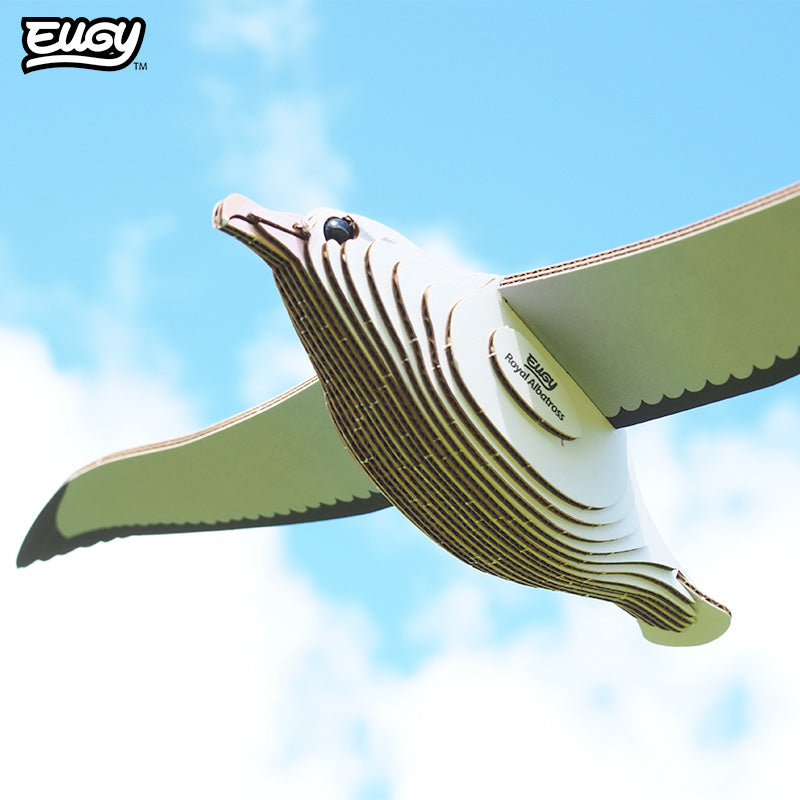 097 Royal Albatross