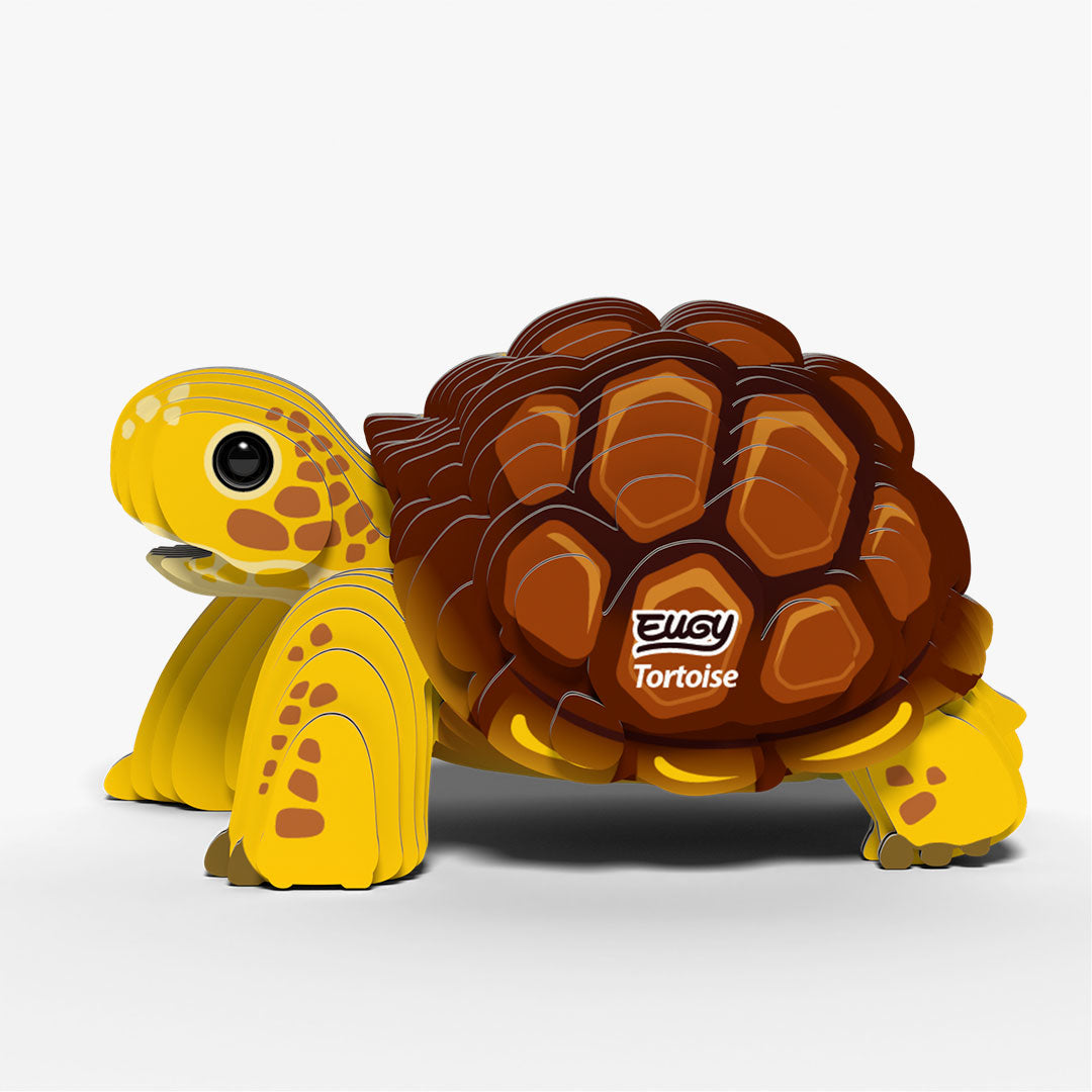 104 Tortoise