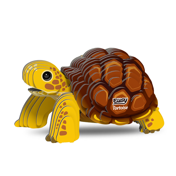 104 Tortoise
